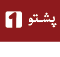 pashto1 tv channel logo