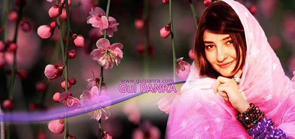 singer Gul Panra